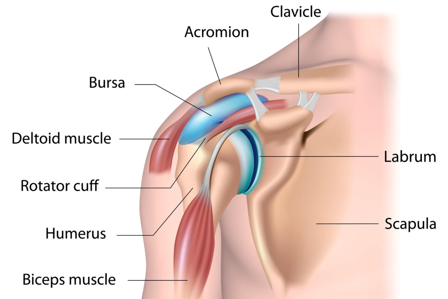 Rotator Cuff Strain Vs Tear: What's the Difference?